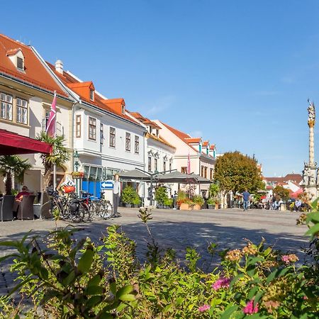 St. Antoni Suite 7 Eisenstadt Exteriör bild