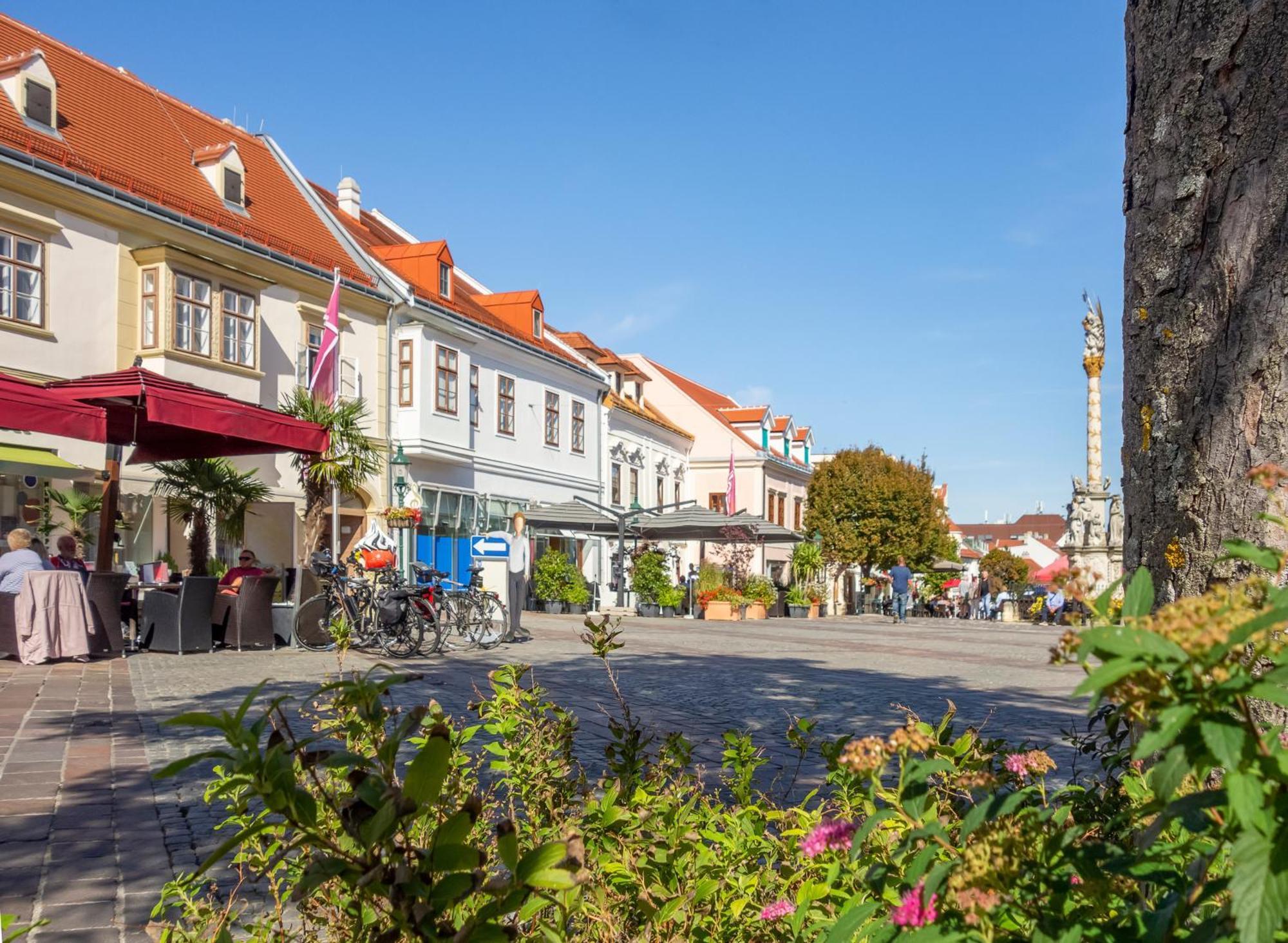 St. Antoni Suite 7 Eisenstadt Exteriör bild